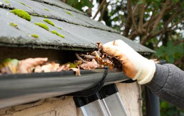 gutter cleaning Worth