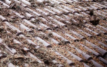 Worth roof cleaning companies