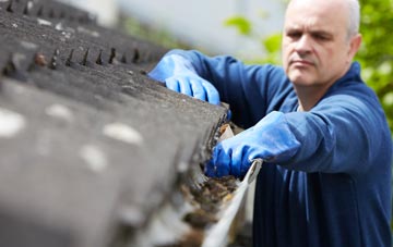 cleaning and inspecting Worth roofs